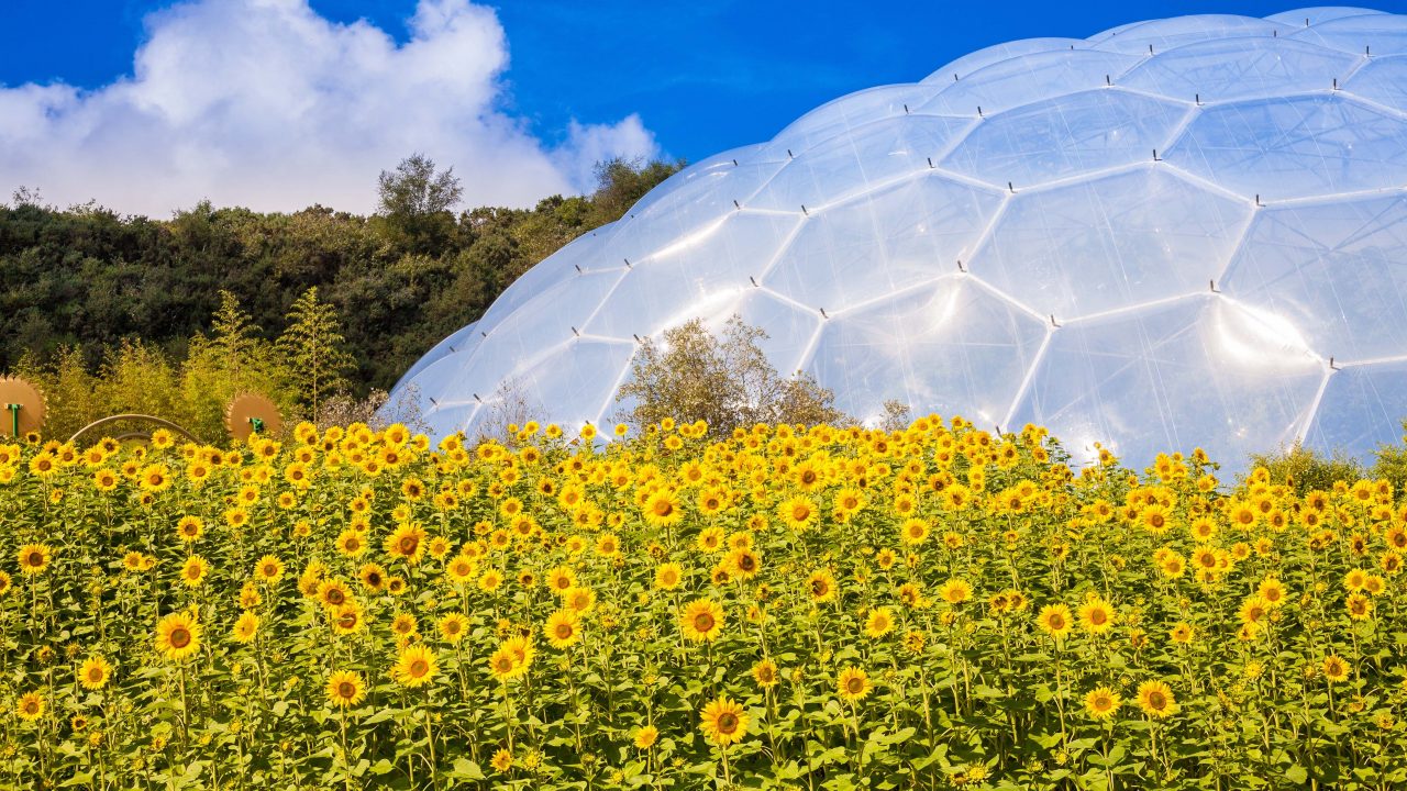 https://livehealthymag.com/wp-content/uploads/2022/02/The-Eden-Project-1280x720.jpg