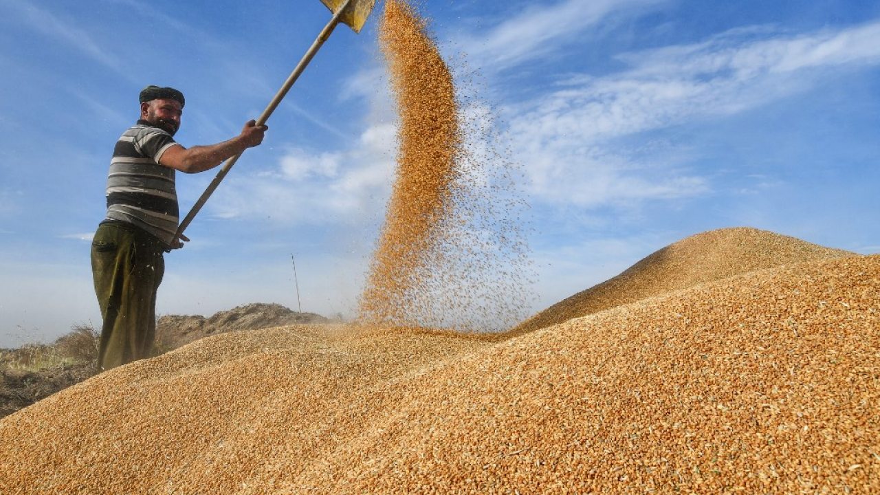 https://livehealthymag.com/wp-content/uploads/2022/04/Agricultural-Technology-Boom-Needed-to-Secure-Global-Food-Supplies-1280x720.jpg