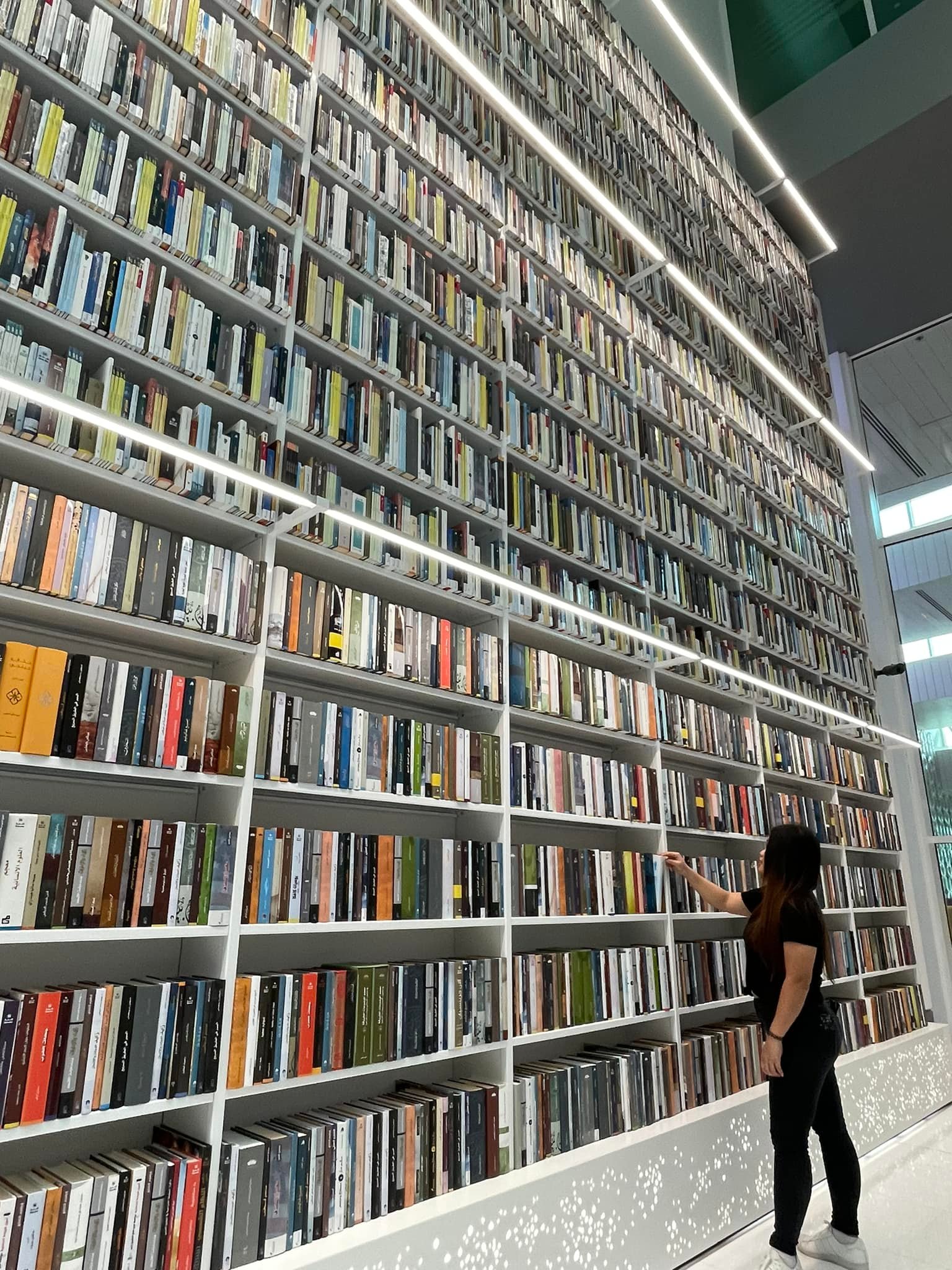 Mohammed Bin Rashid Library UAE libraries