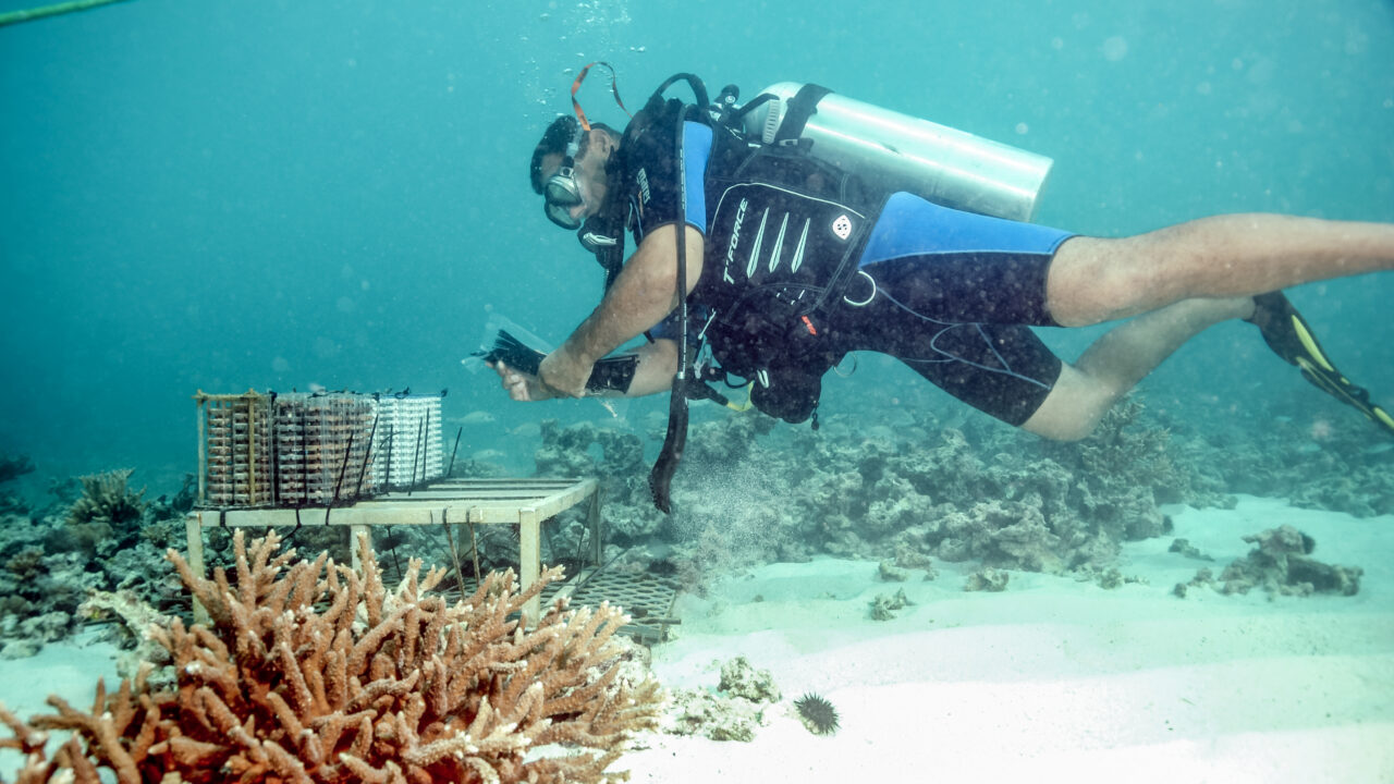 https://livehealthymag.com/wp-content/uploads/2023/11/EAD-marine-assessment-and-conservation-team-conducting-a-coral-reef-survey-1280x720.jpg